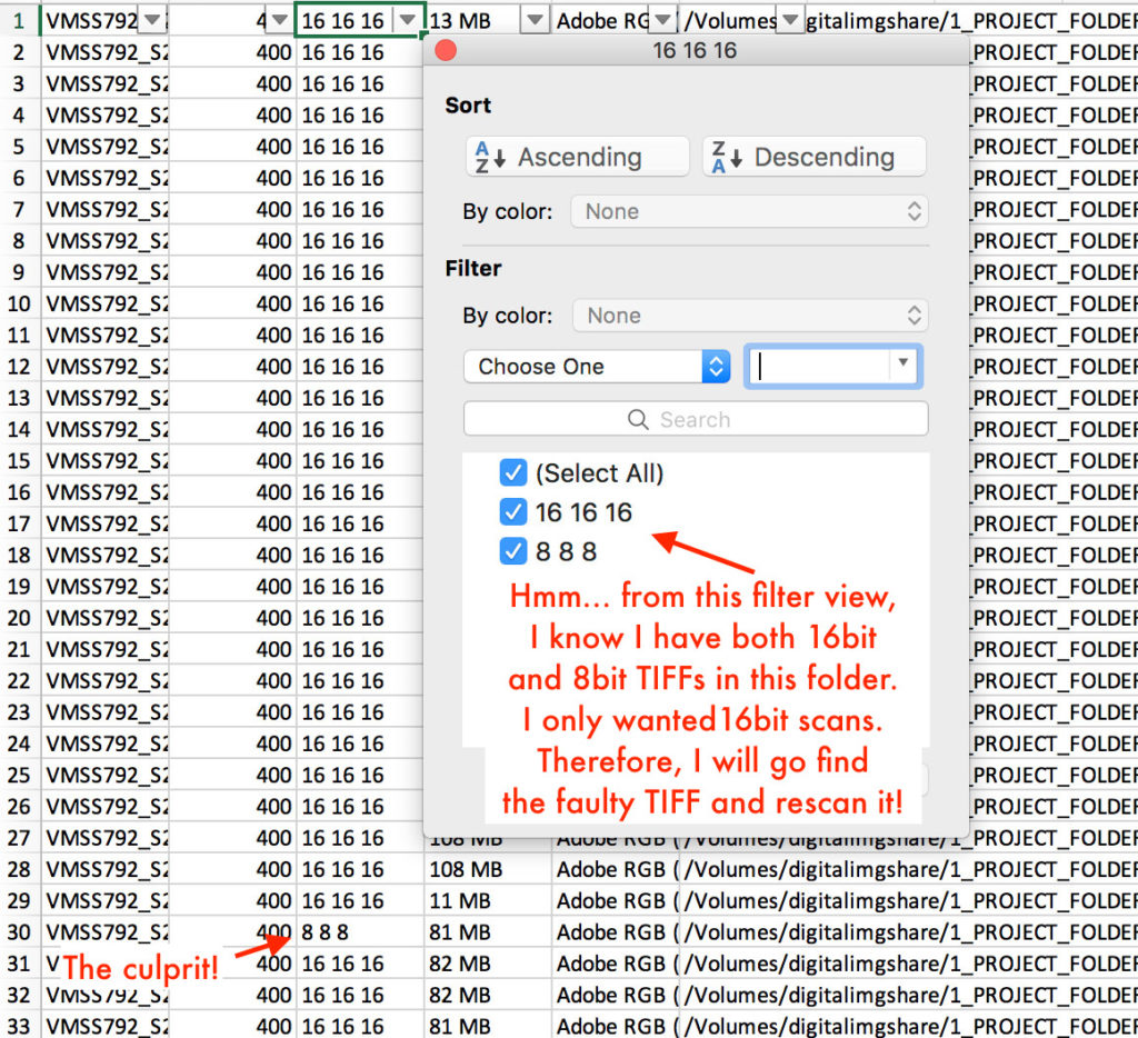 exiftool metadata exiftool metadata